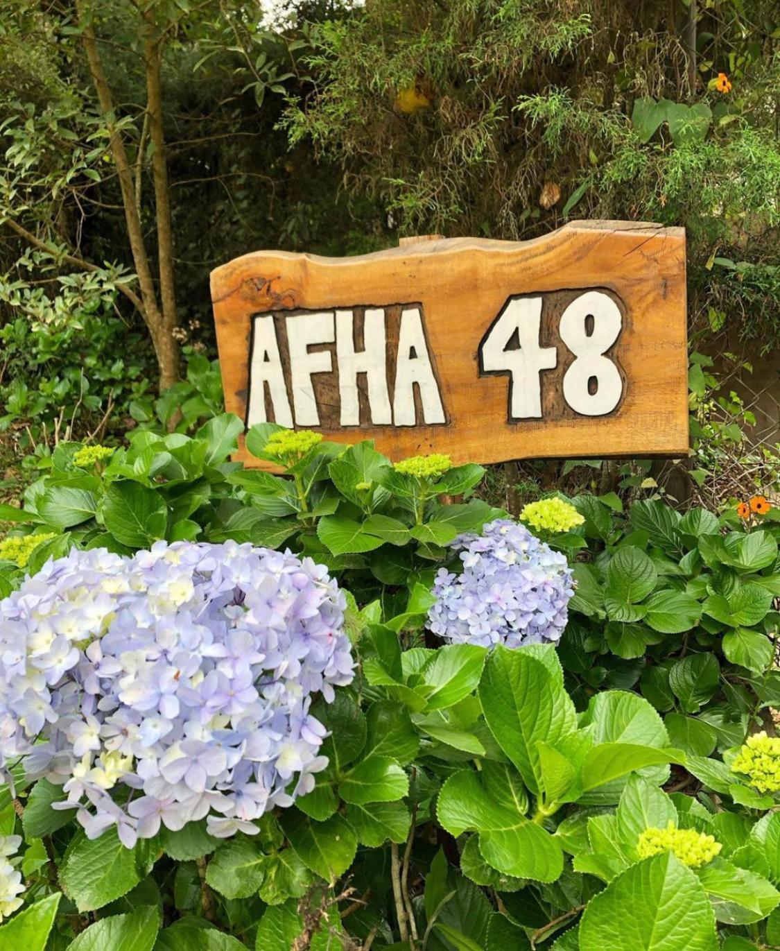 モンテ・ヴェルデ Afha 48ヴィラ エクステリア 写真